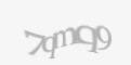 Қорғаныс коды